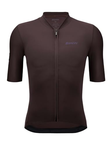 Santini