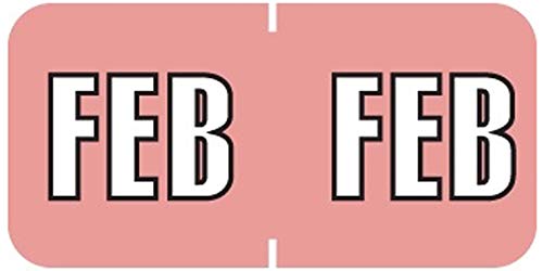 Doctor Stuff - File Folder Month Labels, February, Sycom End Tab Match - SYET Series Stickers, Pink, 3/4" x 1-1/2", 252/Pack