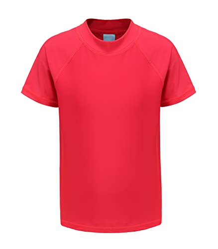 Image of HowJoJo Boys Short Sleeve Rash Guard Shirts Swim Shirt UPF 50+