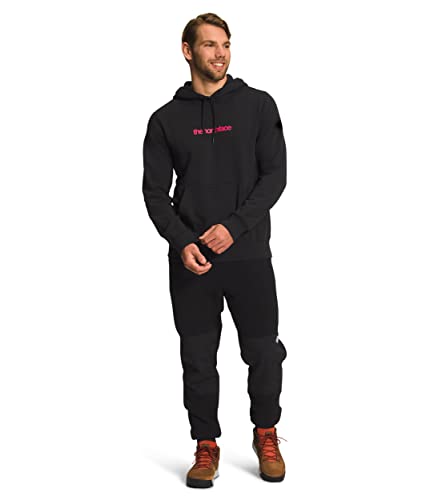 Image of THE NORTH FACE Men's Graphic Injection Hoodie, TNF Black /Brlntcrl, Medium