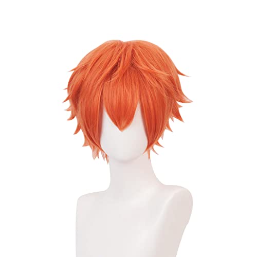 Gairyan Short Ginger Wig Cosplay Wig Unisex Anime Cosplay Wigs for Women/Men Straight Fluffy Wig Costume Theme Party Fancy Dress Wigs Halloween Wig Comic-Con Costumes Accessories - Image 2