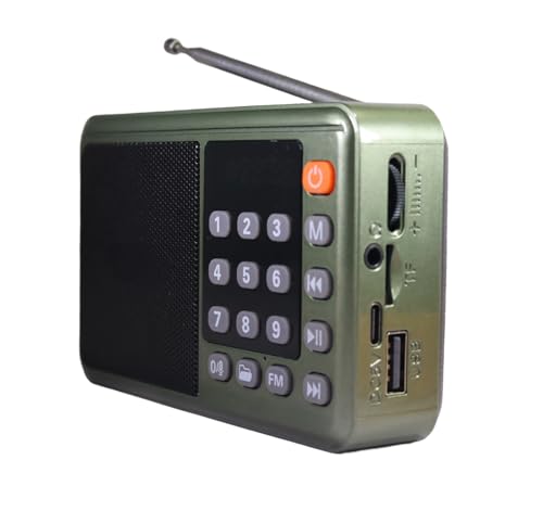 Image of Wireless Bani & Nitnem Speaker Radio with FM, SD Card, Bluetooth,New Type-c Charging (Punjabi /Sikh /Waheguru Simran Speaker /Music Player)