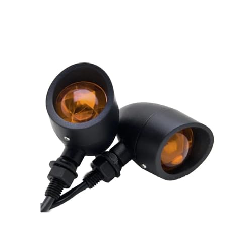 Clignotant arrière de moto pour Sportster 1200 et XL feu indicateur