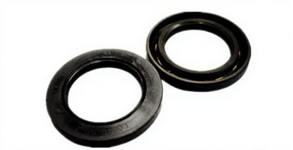 D40-60-6 High Temperature and high Pressure Resistant Oil Seal D45-65-7 Injection molding Oil Pump Hydraulic Motor Sealing Ring (D 45-65-7)