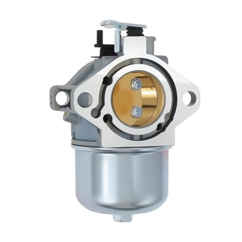 Carburateur compatible 192432 résout les problèmes de démarrage et calage moteur