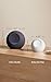 Amazon Echo Dot Max (newest model), Alexa speaker with room-filling sound and built-in smart home hub, designed for Alexa+, Graphite