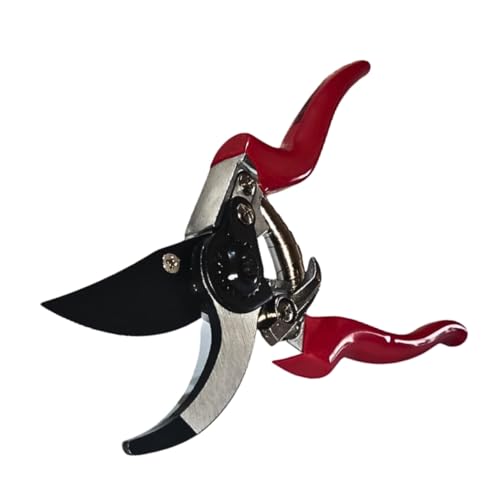 Forbici Cesoie per Potatura Giardino Professionale, Utensile Ideale per Potatura, Giardinaggio e Fai da Te