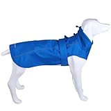 Réglable et facile à porter : la sangle Velcro est ajustée en fonction de la largeur de la taille de votre animal de compagnie, la bande élastique assure une position appropriée sur la jambe, facile à porter, vous permettant de créer un ajustement parfait et confortable pour votre animal de compagnie.