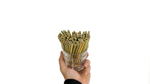 Pitillos naturales de pasto para cóctel 500 unidades miniatura 2