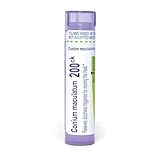 Boiron Conium Maculatum 200Ck for Dizziness Triggered by Moving the Head - 80 Pellets