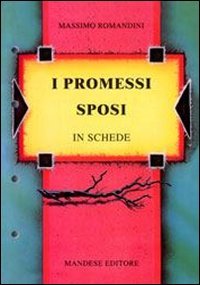 9788853501097 I Promessi sposi in schede. Verifiche, approfondimenti, riepiloghi, diversi strumenti didattici. Per le Scuole superiori