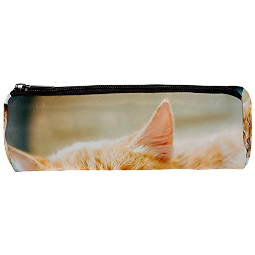 猫 ペンケースの人気商品 通販 価格比較 価格 Com