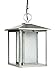 Sea Gull Lighting 69029EN3-57 Hunnington Outdoor Pendant, 1-Light LED 9.5 Watts, Weathered Pewter