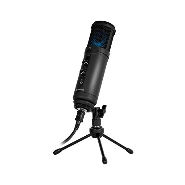 Professionelles Kaliope-Mikrofon für Gaming und Podcast.
