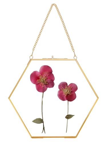 REDHUGO Glass Pressed Flower Frame Handmade, Double Glass, Brass Floating