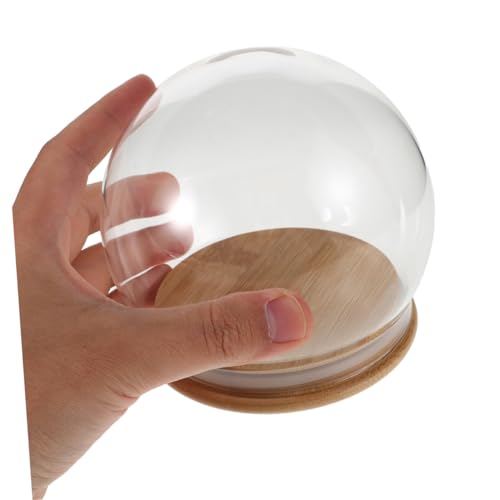 Cúpula para flores preservadas HAMPPLIES vitrina protectora antidespolvoreo transparente de 12cm 5