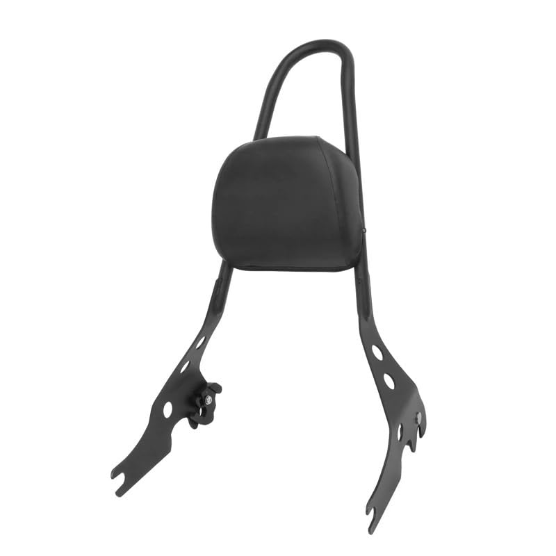 Appui-dos de passager moto pour voyager confortablement en Street 750 de 2015