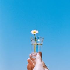 �f�C�W�[ / Lavt