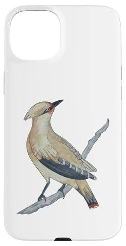 �� �����Q �� ���������� �X�}�z�P�[�X iPhone 15 Plus �p