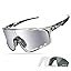 Polarized Lens-silver