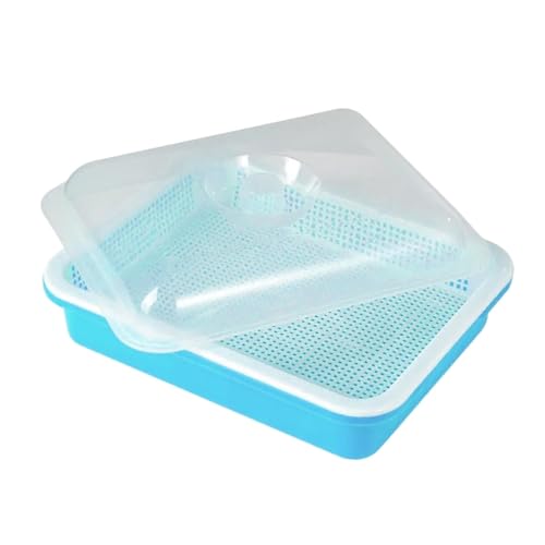 Stgfyxgs マイクログリーン栽培セット - 小型水耕栽培キット, 青