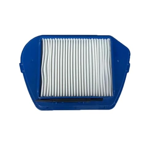 Filtros de polvo compatibles con Rowenta RO53 y recambios Zyklon 2