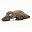 Brown Platypus Weighted Teddy