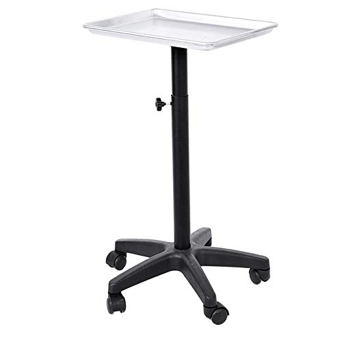 Rolling Instrument Tray, Hairdressing Trolley Cart on Wheel with Hair Dryer Stand Holder for Spa Beauty Tool Storage (Color : Silver)