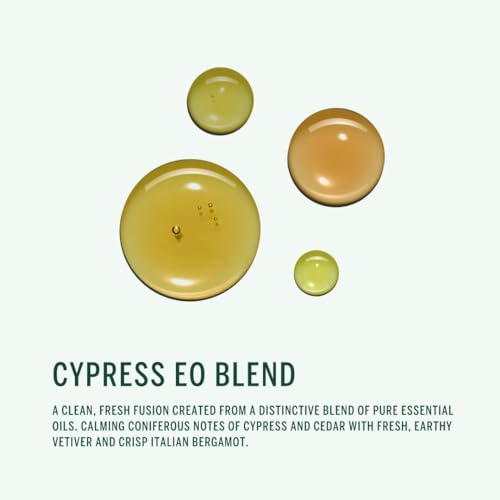 Corpus - Cypress Conditioner | Vegan, Cruelty-Free, Non-Toxic, Made In The USA (9 fl oz | 266 ml) - Image 4