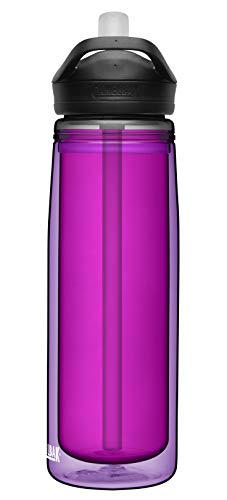 Camelbak Eddy+ Bpa Free Insulated Water Bottle, 20Oz, Amethyst #TOP1
