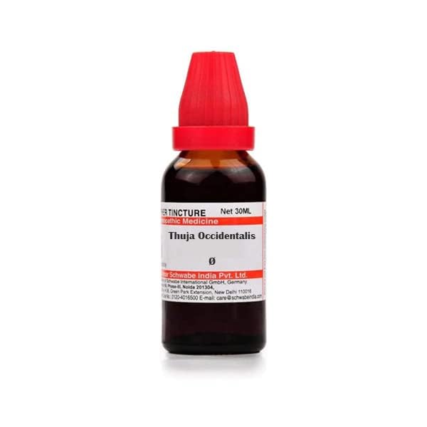 THUJA OCCIDENTALIS Q 30 ML SCHWABE || Shophomeo®