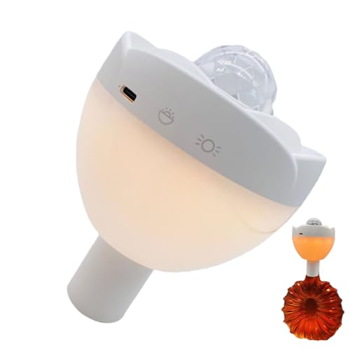 Éclairage de bouteille sans fil et lampe de table rechargeable moderne