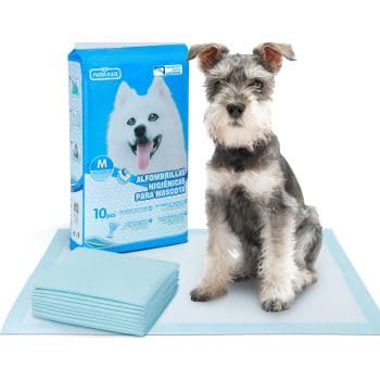 Dog Pee Pads with Adhesive 60 x 60 cm Super Absorbent 5-Layer Puppy Training Pads | Leakproof Quick Dry & Anti Bacterial (Pack of 10)