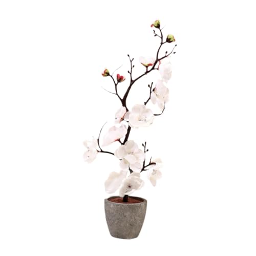 B Baosity A̐lH~̉ԁAlH~͂̉ԁAړIgpAϗtAAAItBXAfXN̑, 