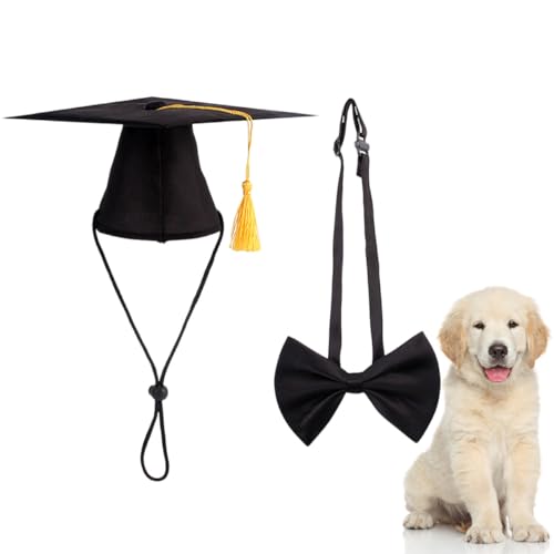 Disfraz gorro y pajarita para perro en negro miniatura 6