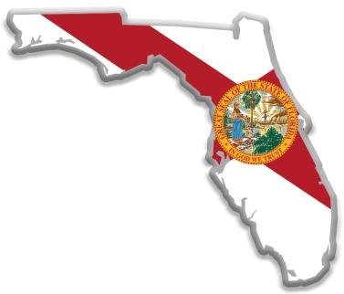 Florida State Flag Pins - Shape of Florida Lapel Pins-image-45