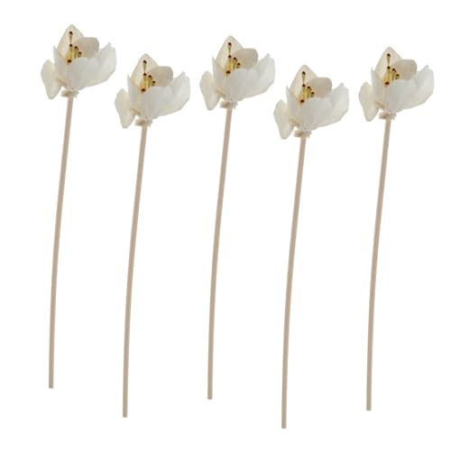 IMIKEYA 5piezas Accesorios De Aromaterapia Unidades De Varillas De Ratán para Difusores De Aceites Esenciales Uso Ambiente De SPA
