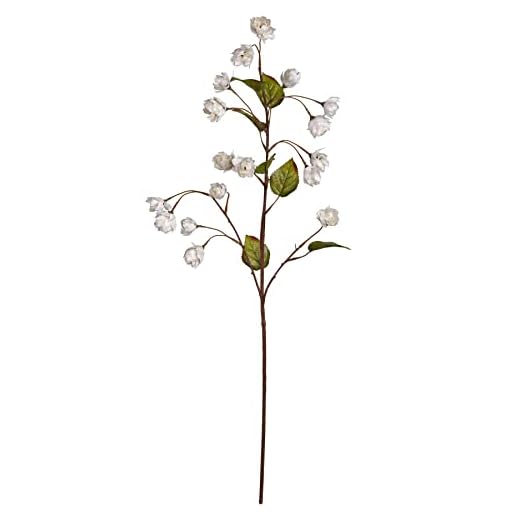 Ashland Cream Hops Spray, 12 Pack