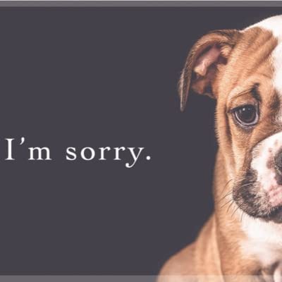 What is Wrong with Saying "I'm Sorry"!