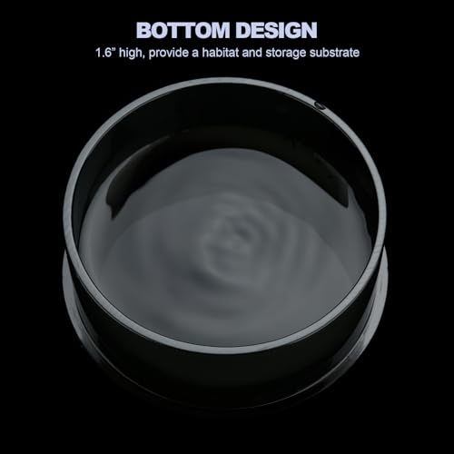 Kit inicial de gabinete de aranha saltadora com prato de alimentação, berços de tarântula para carac