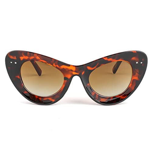 FEISEDY Oversized Cat Eye Sunglasses for Women Retro Fashion Cateye Sunglasses B2918
