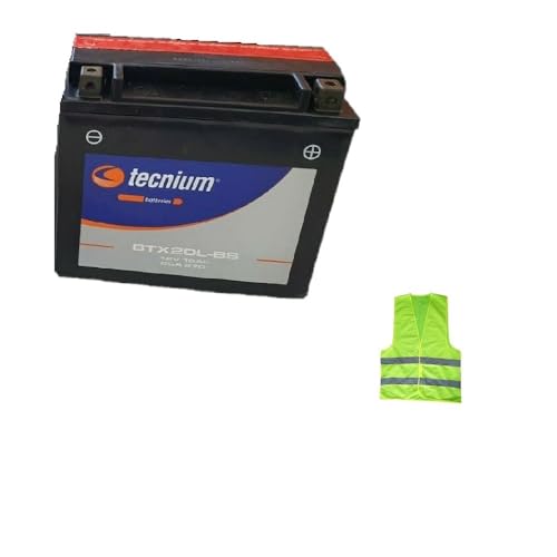 COMPATIBILE CON Moto Guzzi California EV PI (KD) 1100 per anno 2002 al 2002 Batteria YTX20L-BS TECNIUM BTX20L-BS GIA' PRONTA E CARICA 18 Ampere 12 Volt 175X87X155MM