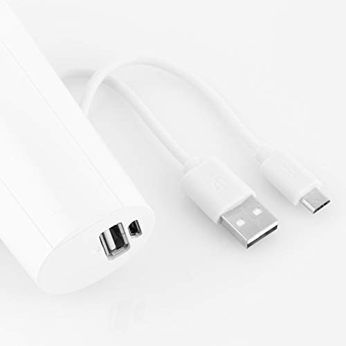 Pulvérisateur Facial avec Power Bank 2 en 1 Primizima