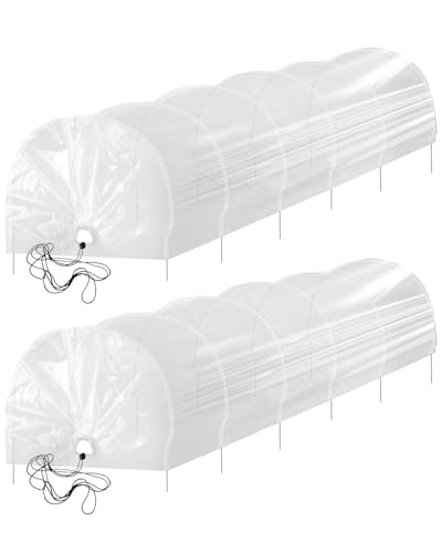 2-Pack Mini Greenhouse Tunnel, 2PCS 2 in 1 Green Houses