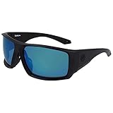 Sunglasses DRAGON DR EQUINOX X LL POLAR 007 Matte Black/Ll Deep Green Ion