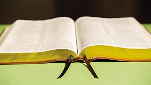 Image of NIV, The Grace and Truth Study Bible (Trustworthy and Practical Insights), Large Print, Leathersoft, Brown, Red Letter, Comfort Print