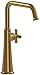 Momenti Single Handle Tall Lavatory Faucet with U-SpoutBRUSHED GOLD