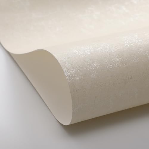 Beswitory Industrial Textured Concrete Effect Wallpaper Retro Cement Beige Wallpaper Luxury Wall Paper with Distressed Pattern, Textured Finish & Metallic Detailing for Living Room, Bedroom, Fireplace