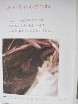 きたきつねページになります＊ EEJOKzwU8AA_loz.jpg:large