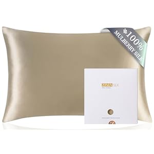 ZIMASILK 100% Pure Mulberry Silk Pillowcase for Hair and Skin Health, Soft and Smooth, Both Sides Premium Grade 6A Silk, 600 Thread Count, with Hidden Zipper, 1pc (Queen 20”x30”, Taupe)